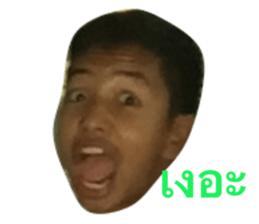 55773564