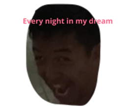 55773565