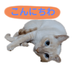 557740551