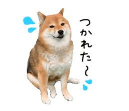 557742883