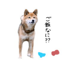 557742885