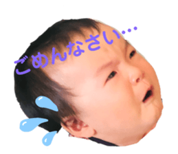 557746023