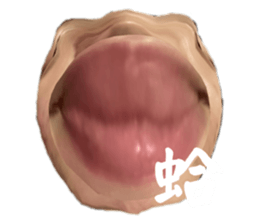557757008