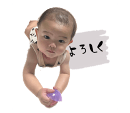557757845