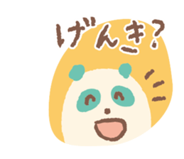 557802