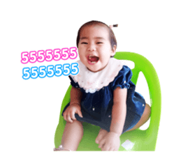 55781138
