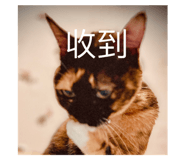 557814326