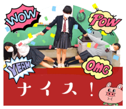 557816531