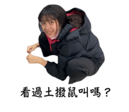 557838993
