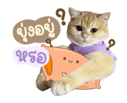 557915439