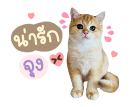 557915442