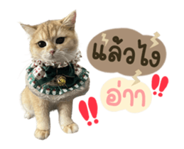557915453