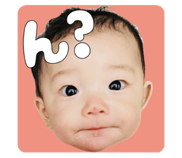 557924427