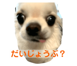 557927714