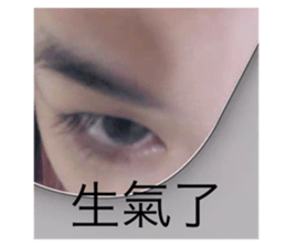 557930265