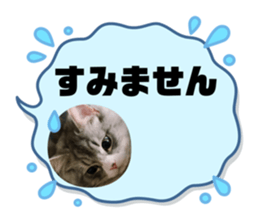 557931654
