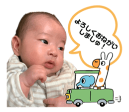 557956391