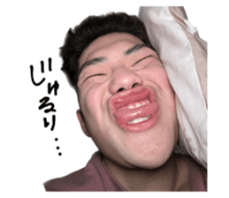 557977379