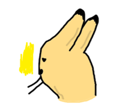 5580017
