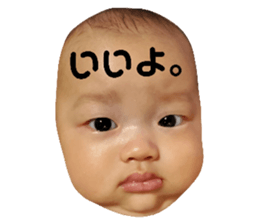 558014023