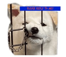 558033468