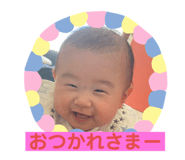 558056637