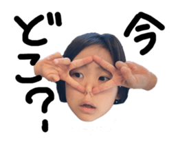 558057017