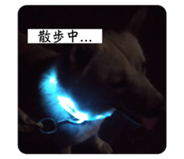 558058315