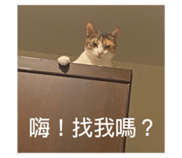 558118547