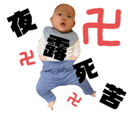 558120520
