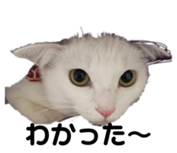 558135351