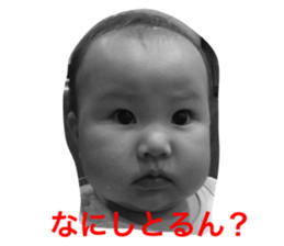 558135359