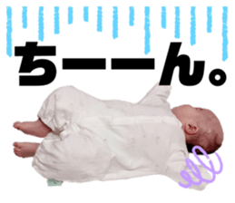 558143221