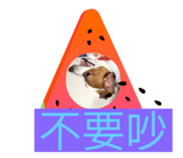 558149616
