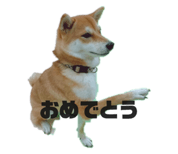 558151277