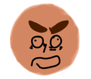 558154941