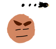 558154953