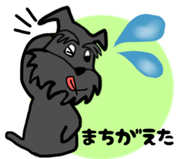 558156750