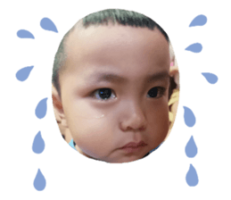 558161792
