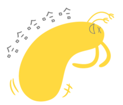 55817293