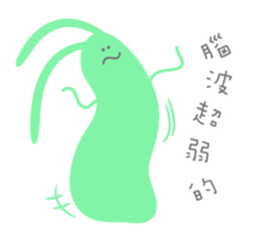 55817306