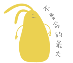 55817325