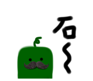 558184216