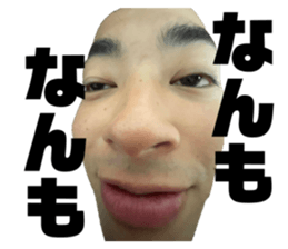 558202103