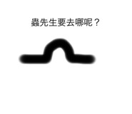 558203321