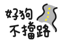 55825411