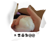 558257519