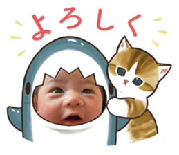558280956