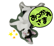 558315025