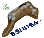 558315030